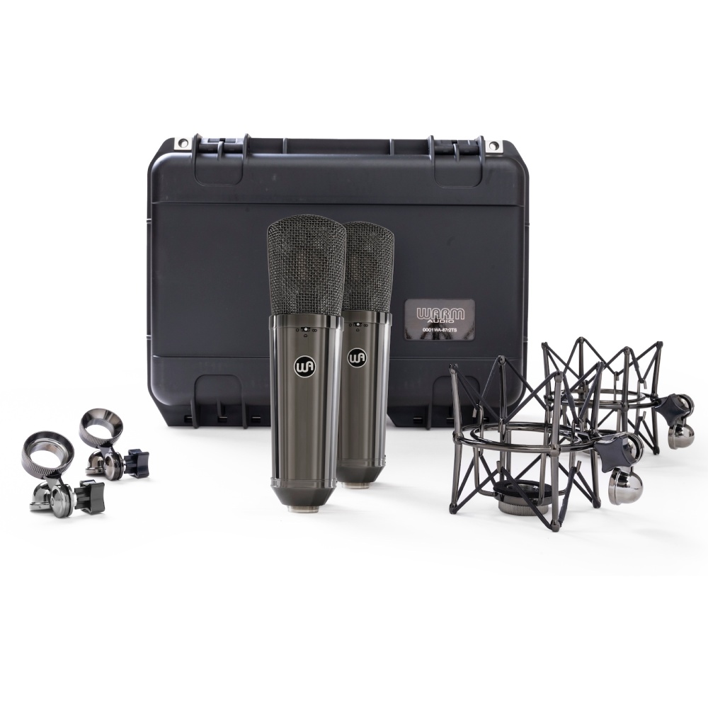 Warm Audio WA-87 R2 TS Titanium Stereo Pair 웜오디오 WA87 스테레오 페어