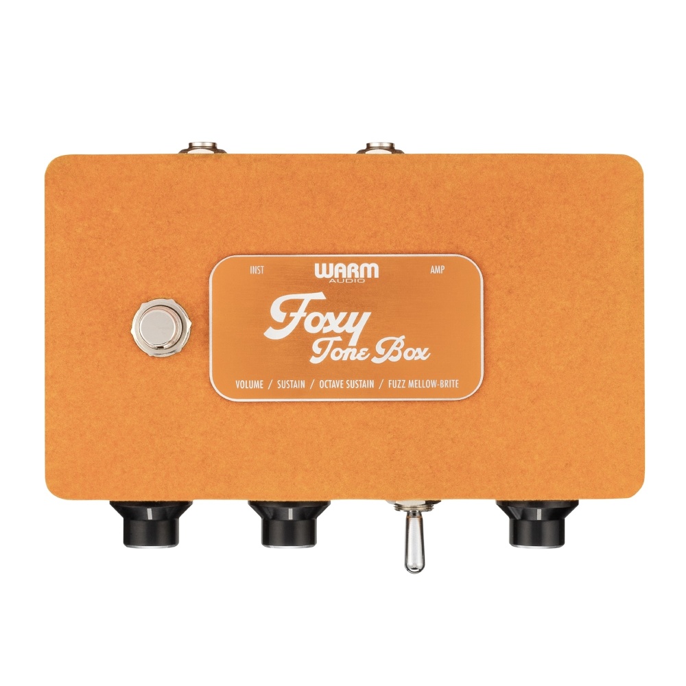 Warm Audio Foxy Tone Box 웜오디오 기타 페달 이펙터