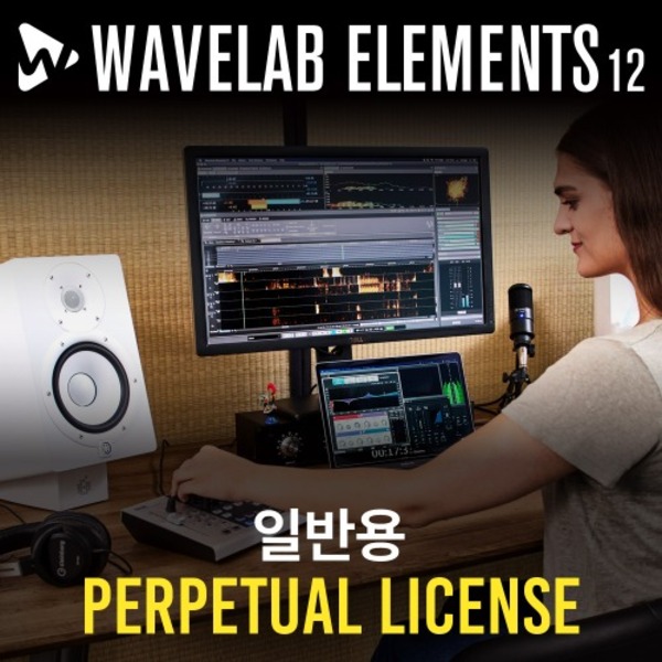 WAVELAB 12 ELEMENTS 웨이브랩 12 엘리먼츠 Steinberg 스테인버그