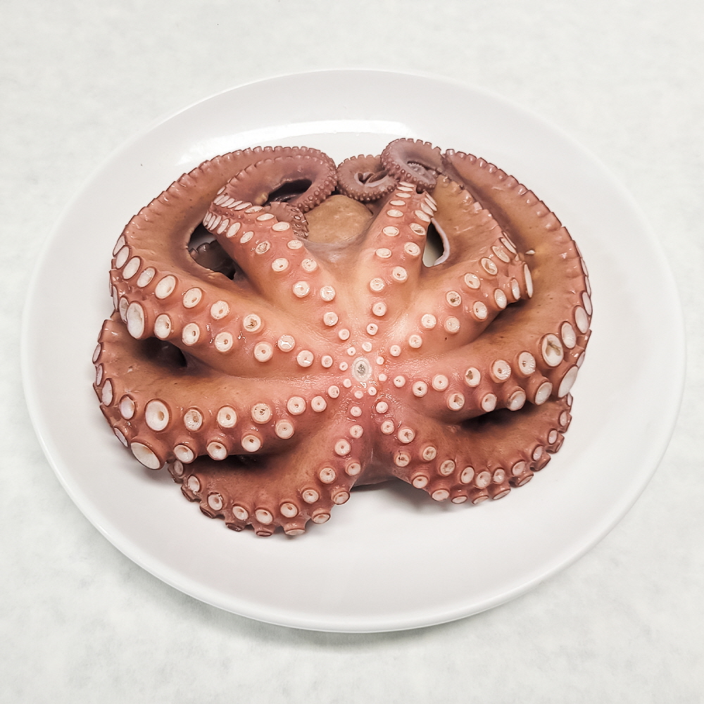 통영 문어 돌문어 제수용 자숙문어 700g내외 (자숙전1kg) 1미