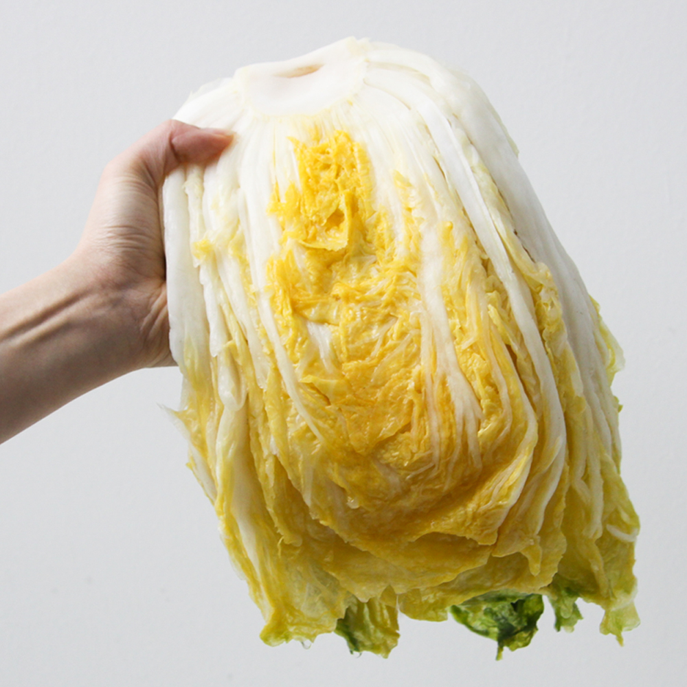 강원도 평창 고랭지 절임배추 20kg 국산 천일염 김장 절인배추