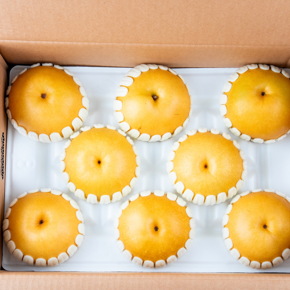 명품 나주 배 가정용 상등급 5kg