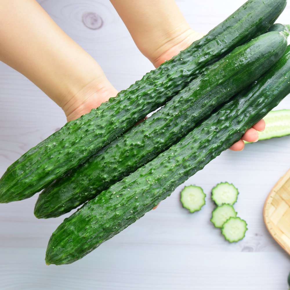 제철 오이 가시오이 10kg