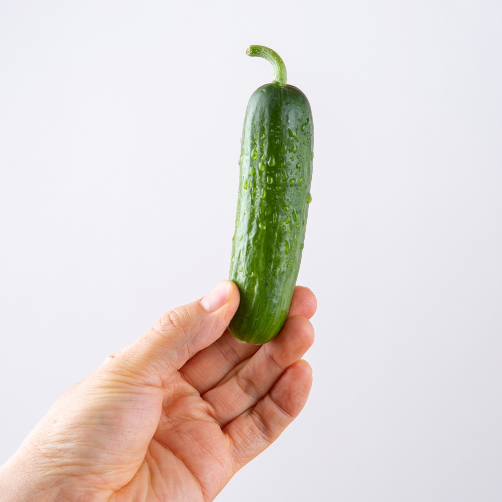 제철 오이 미니오이 3kg