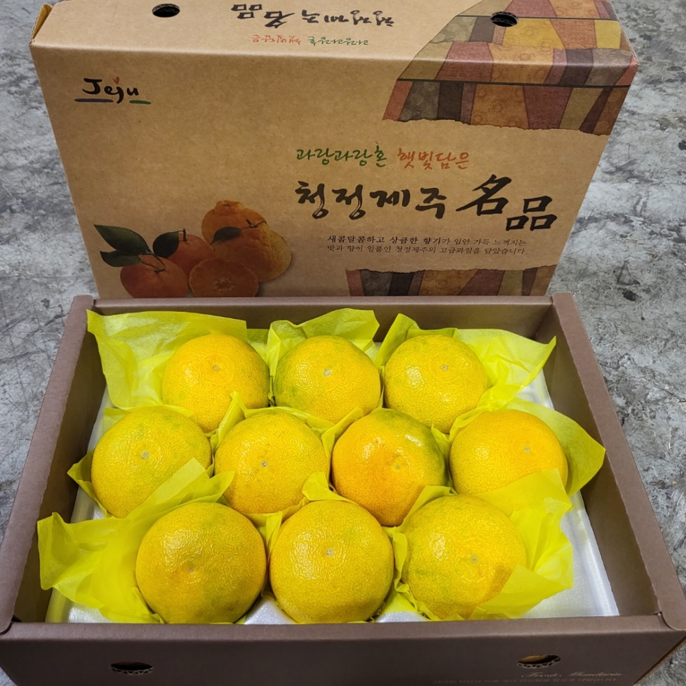황금향 선물세트 3kg 중대과 6-15과 제주 과일 감귤 추석 설 명절선물