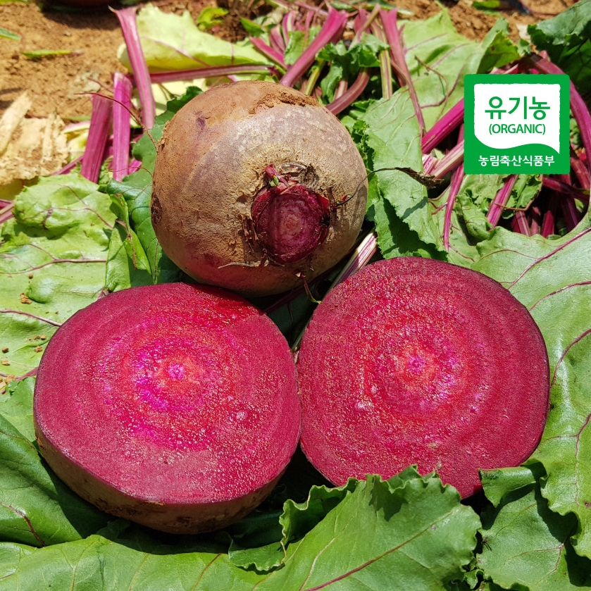 산지직송 유기농 무농약 비트 알비트 레드비트 5kg 10kg