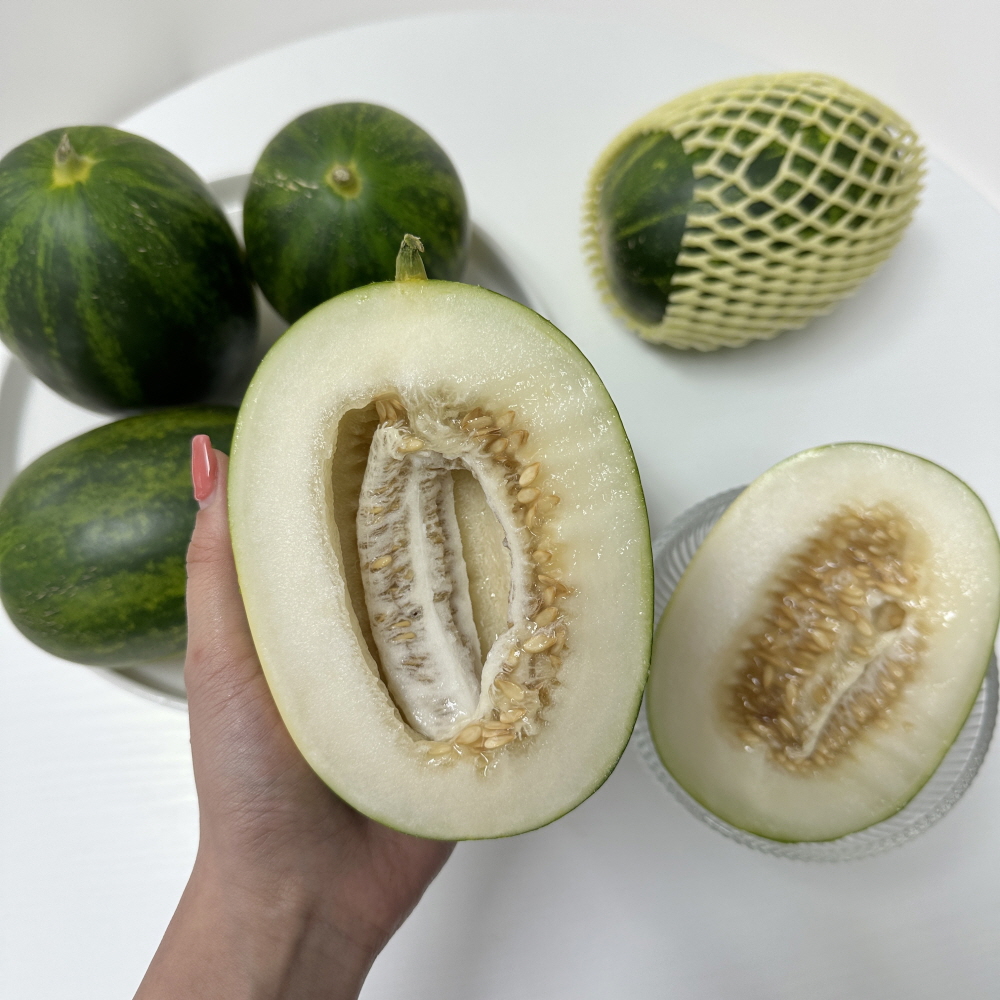 고령 파파야 메론 멜론 제철 과일 2kg 매론 산지직송