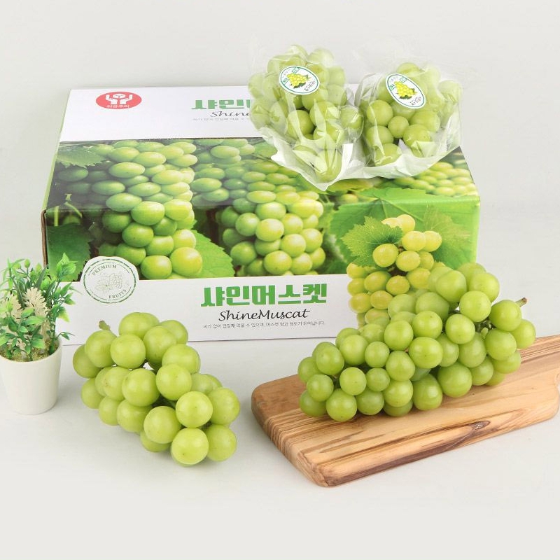 추석선물세트 고급형 샤인머스켓 2kg 샤인머스캣 명절 과일선물