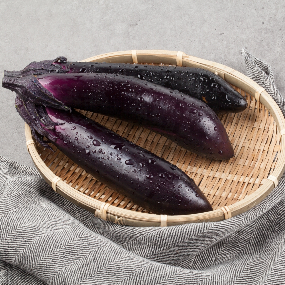 제철 가지 못난이가지 5kg 식당 식자재