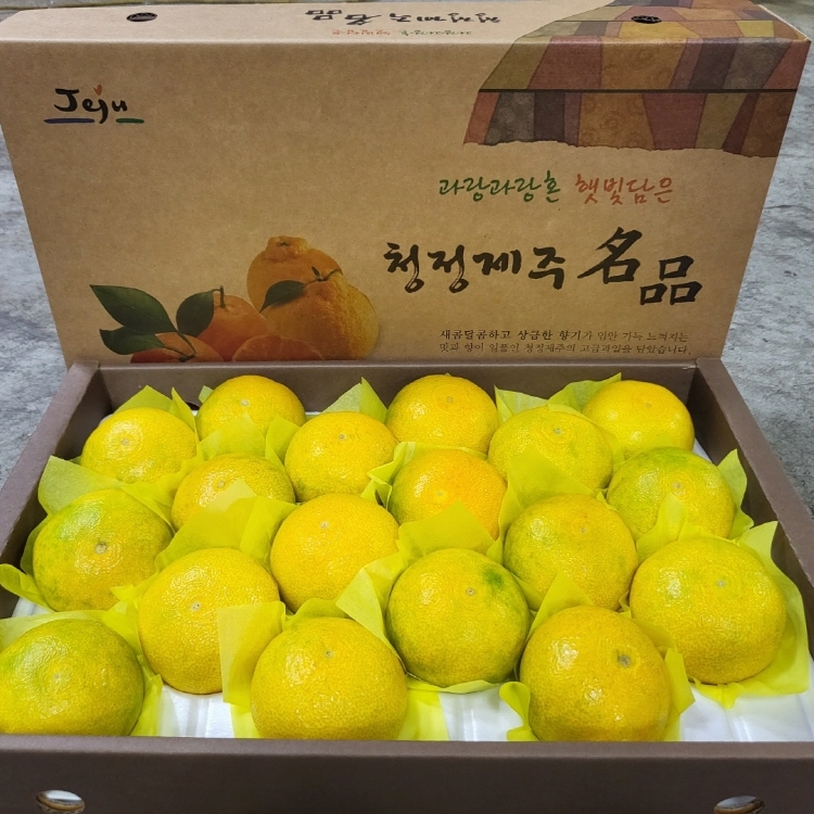 황금향 선물세트 5kg 중과 17-24과 제주 과일 감귤 추석 설 명절선물