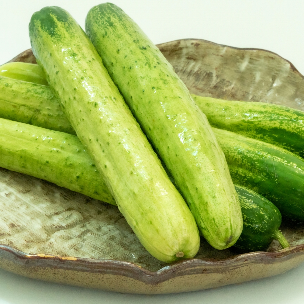 제철 오이 오이지용오이 백다다기 백오이 2kg