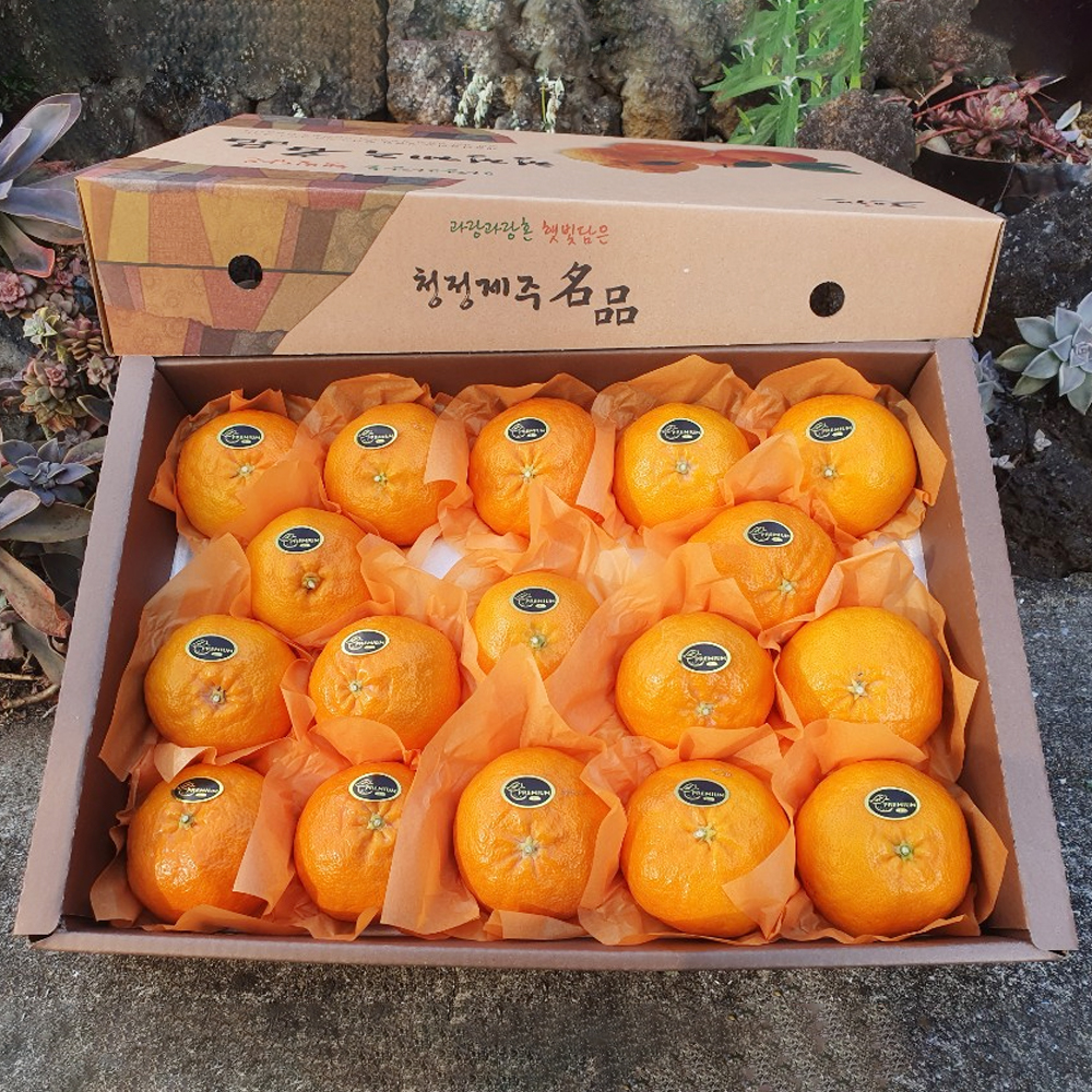명절선물 제주 레드향 과일 선물세트 5Kg 11-19과 제철과일 만감류