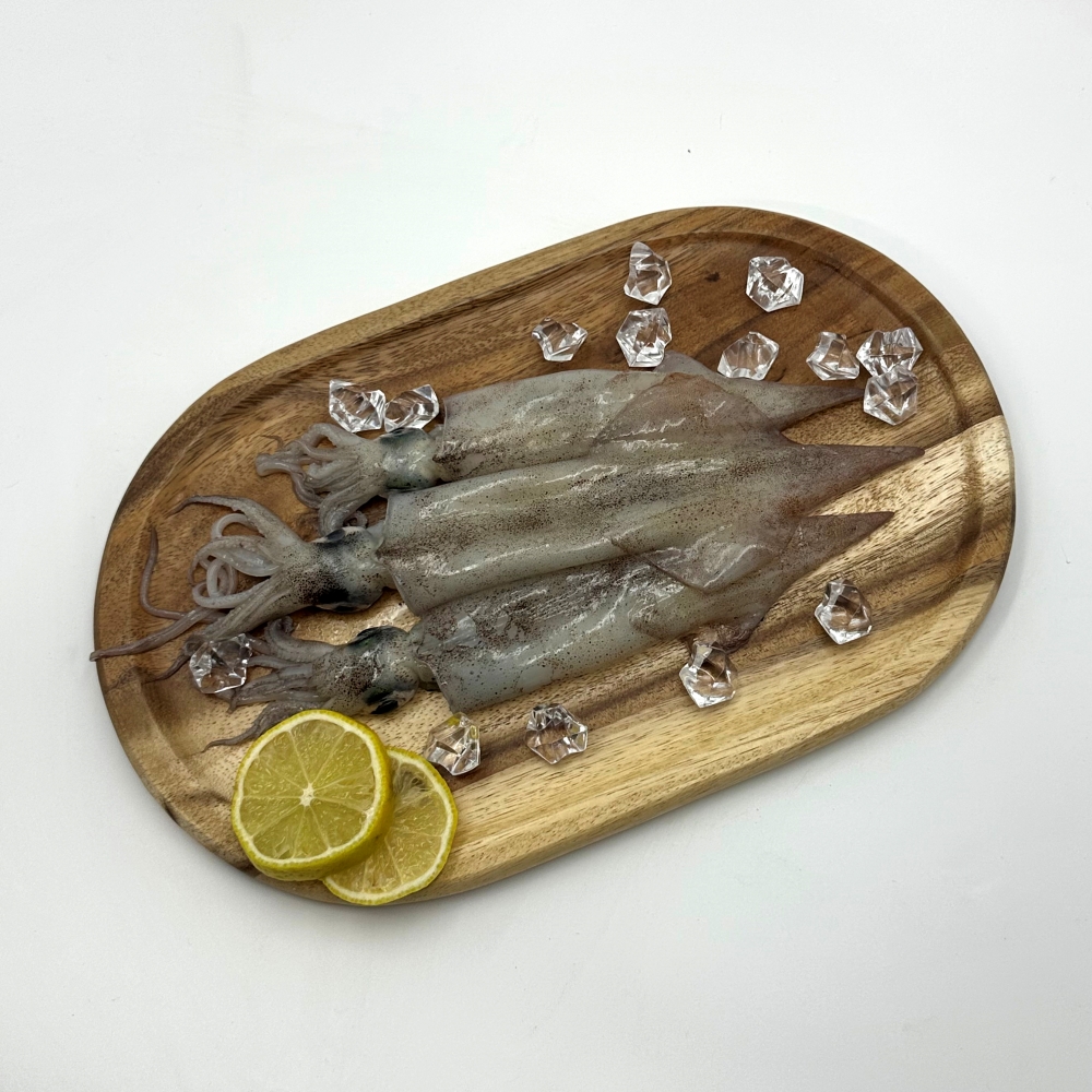 한치 동해안 급냉 냉동한치 1팩 1kg 15미 내외 통한치