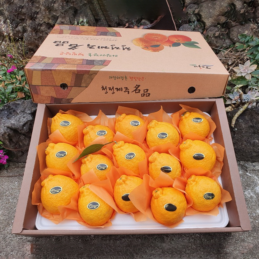 명절선물 제주 한라봉 선물세트 3kg 5Kg 만감류 구정 설날 과일선물세트
