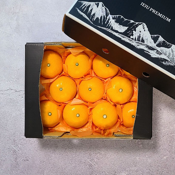 명절선물 제주 레드향 선물세트 2.5kg 소과 15-20과 제철과일