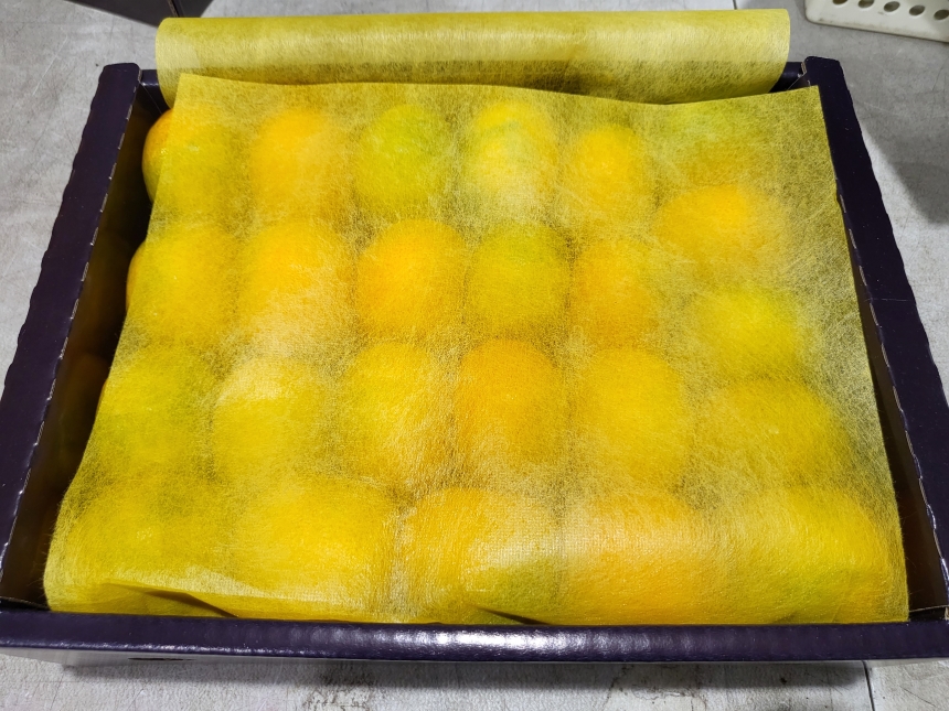 추석선물세트 제주도 귤 밀감 하우스 제주감귤 로열과 2kg 3kg 명절선물