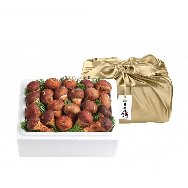 명절선물세트 지리산 참송이버섯 세트 850g 이상 참송이 설날 구정선물