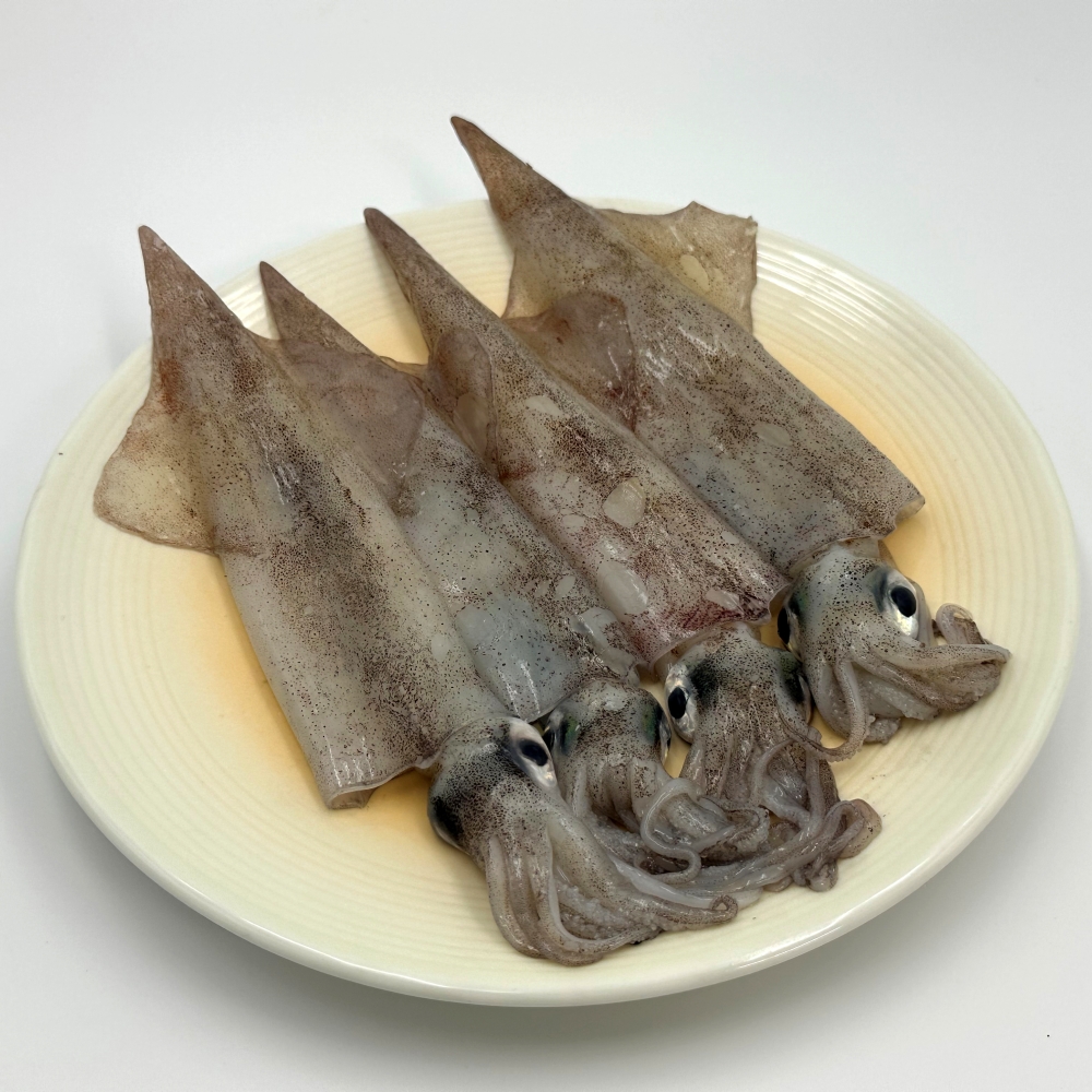 한치 동해안 급냉 냉동한치 2kg (30미내외) 통한치